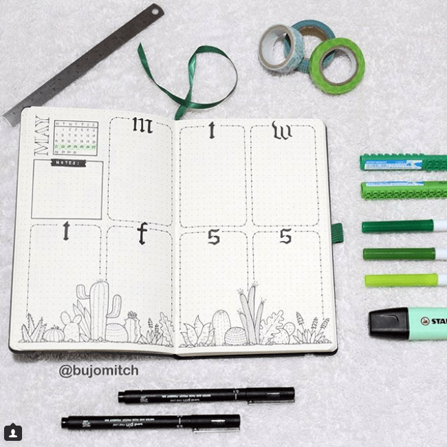 incredible cactus spreads for May
