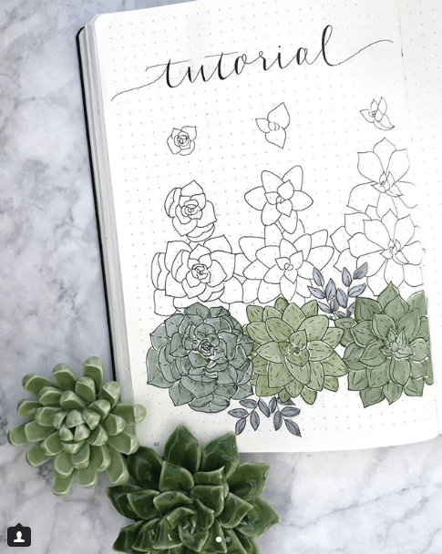 incredible cactus spreads for May